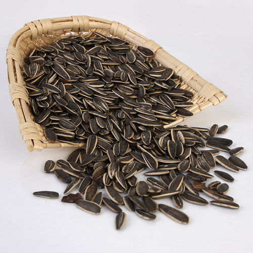 味蕾盛宴 從散裝批發到精致小包裝，探秘五香瓜子的獨特魅力